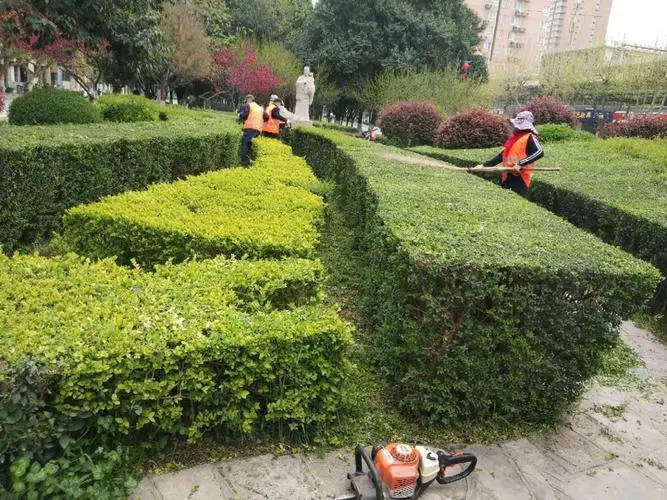 探索园林管理的新路径，建设智慧城市绿地管理系统