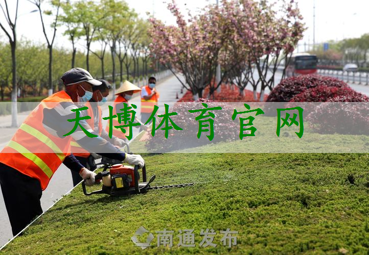 市政道路绿化工程介绍