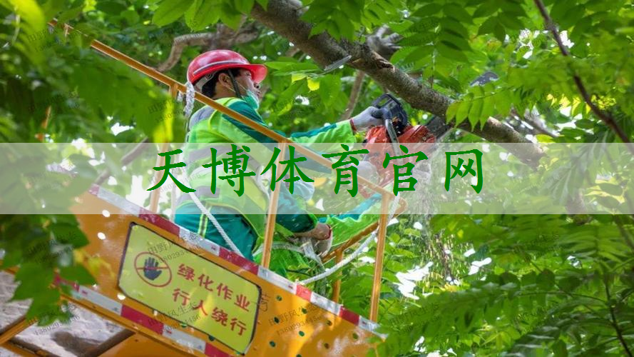 晋州市政绿化公司需要建造师吗知乎